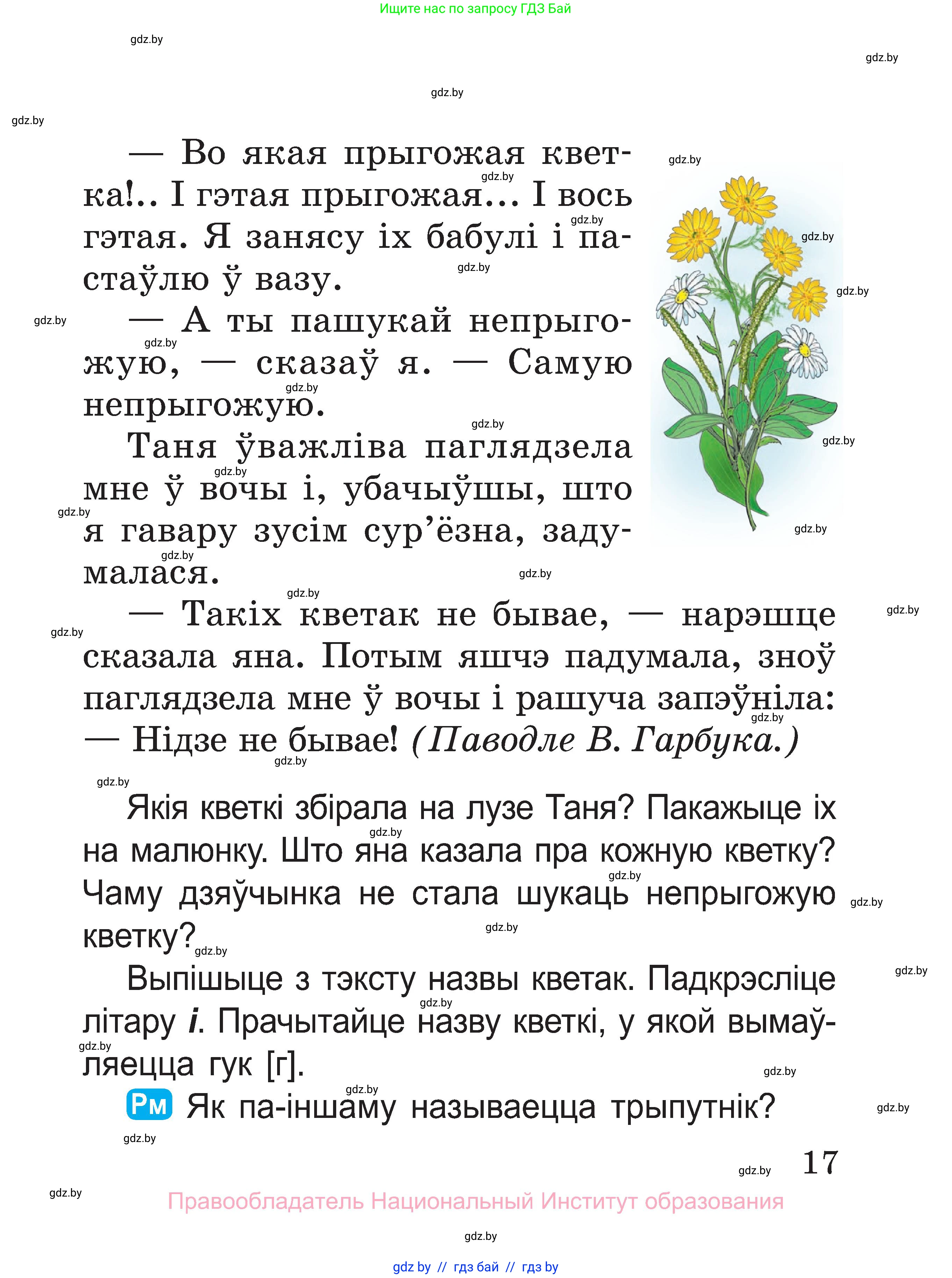 Белорусский язык (Беларуская мова), 2 класс Учебник, автор: Свірыдзенка Вольга Іванаўна, издательство Нацыянальны інстытут адукацыі, Минск, 2020, голубого цвета, Часть ( Part) 2, страница 17