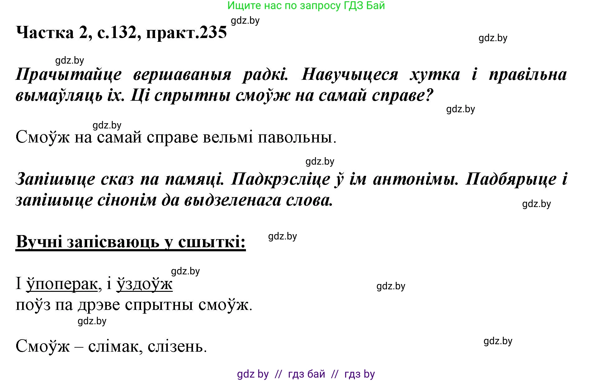 Белорусский язык (Беларуская мова), 3 класс Учебник, автор: Свірыдзенка Вольга Іванаўна, издательство Нацыянальны інстытут адукацыі, Минск, 2023, зелёного цвета, Частка 2, страница 132, номер 235, Решение