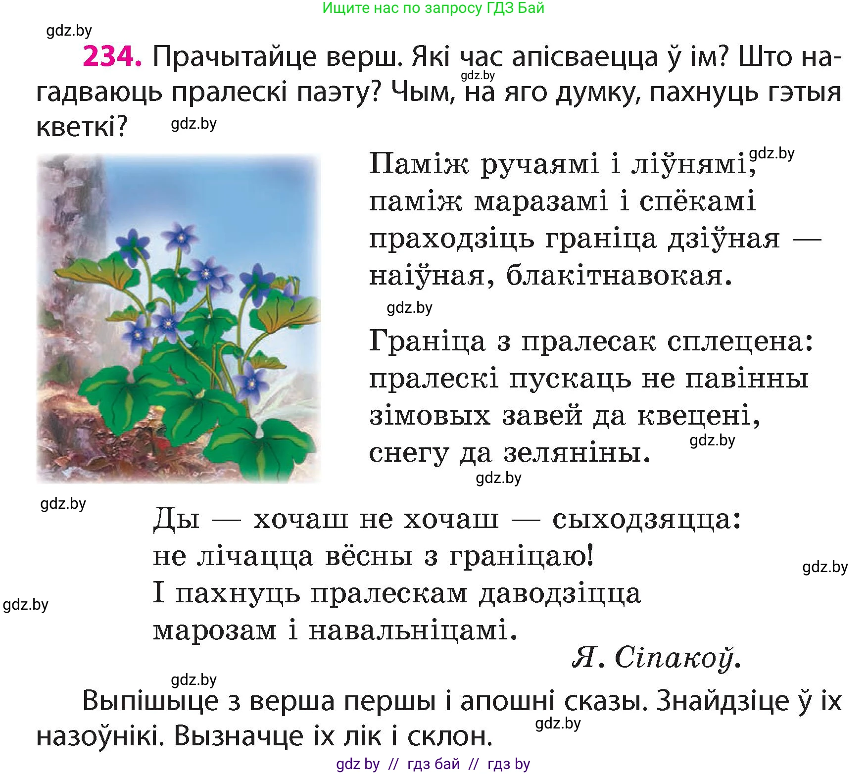 Белорусский язык (Беларуская мова), 4 класс Учебник, автор: Свірыдзенка Вольга Іванаўна, издательство Нацыянальны інстытут адукацыі, Минск, 2024, голубого цвета, Частка 1, страница 138, номер 234, Условие 2024