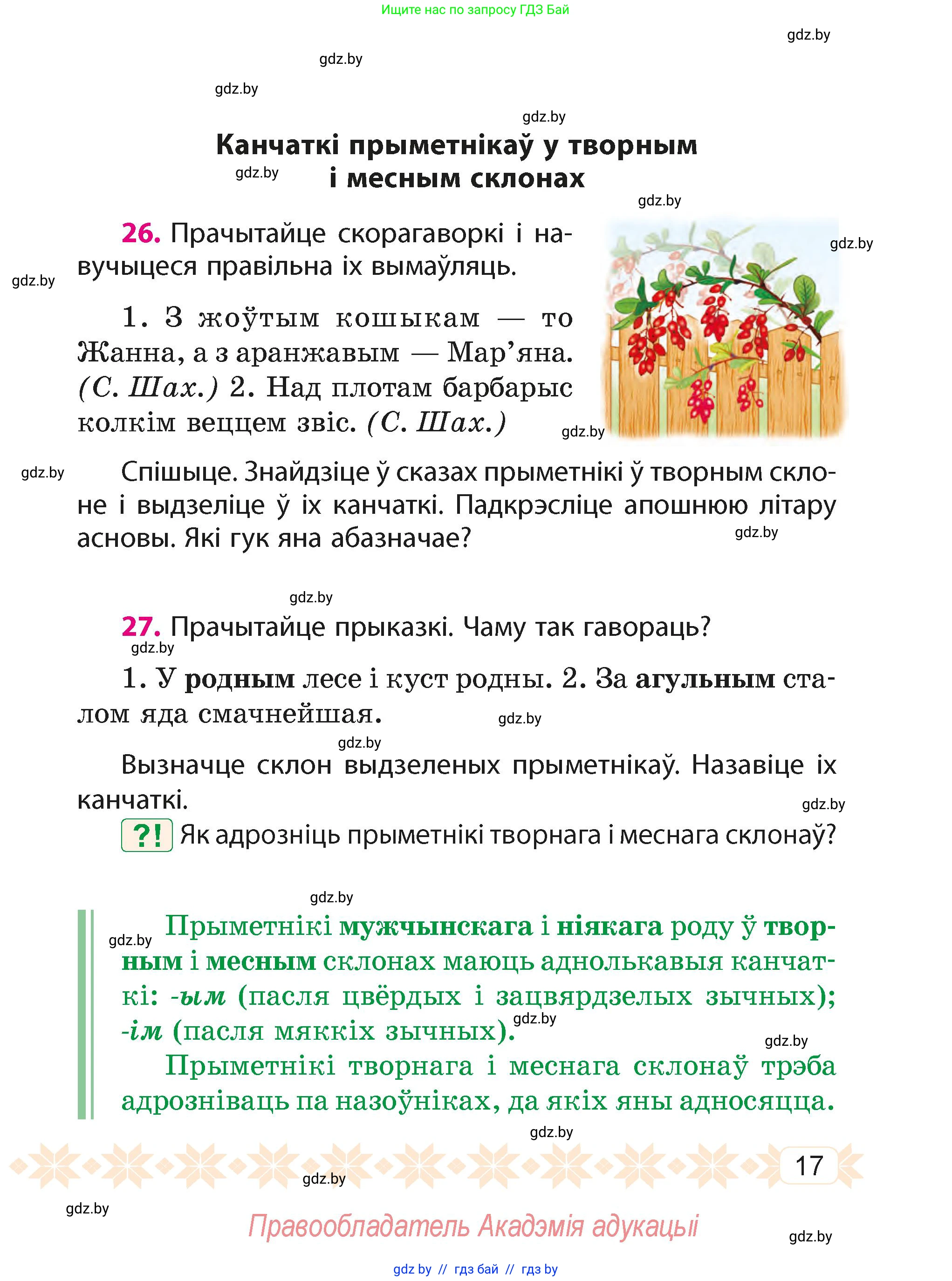 Белорусский язык (Беларуская мова), 4 класс Учебник, автор: Свірыдзенка Вольга Іванаўна, издательство Нацыянальны інстытут адукацыі, Минск, 2024, голубого цвета, Частка 2, страница 13, номер 17, Условие 2024