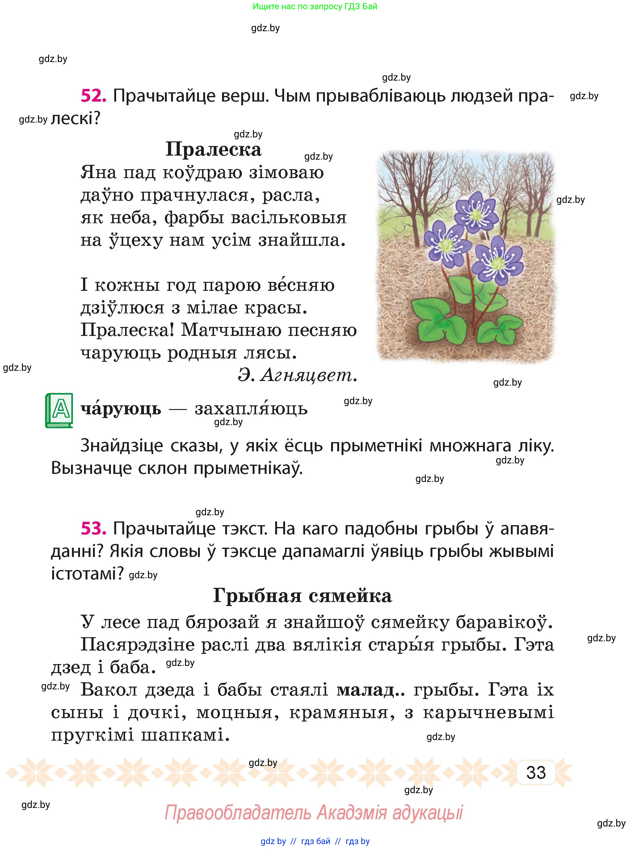 Белорусский язык (Беларуская мова), 4 класс Учебник, автор: Свірыдзенка Вольга Іванаўна, издательство Нацыянальны інстытут адукацыі, Минск, 2024, голубого цвета, Частка 2, страница 20, номер 33, Условие 2024