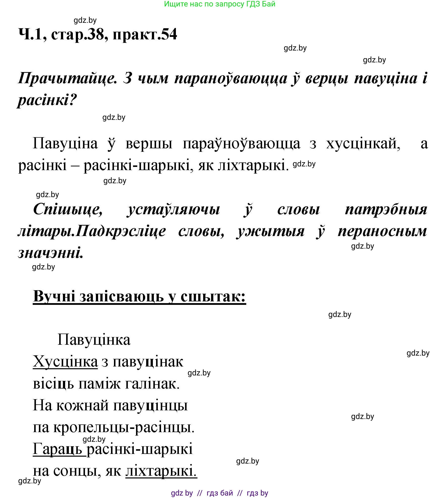 Белорусский язык (Беларуская мова), 4 класс Учебник, автор: Свірыдзенка Вольга Іванаўна, издательство Нацыянальны інстытут адукацыі, Минск, 2024, голубого цвета, Частка 1, страница 38, номер 54, Решение 2024