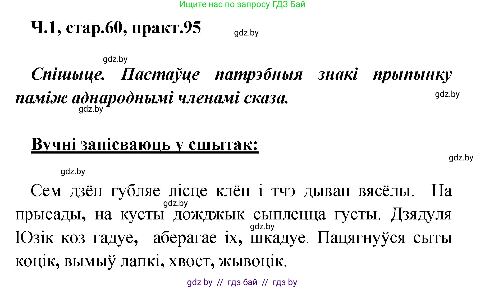 Белорусский язык (Беларуская мова), 4 класс Учебник, автор: Свірыдзенка Вольга Іванаўна, издательство Нацыянальны інстытут адукацыі, Минск, 2024, голубого цвета, Частка 1, страница 60, номер 95, Решение 2024