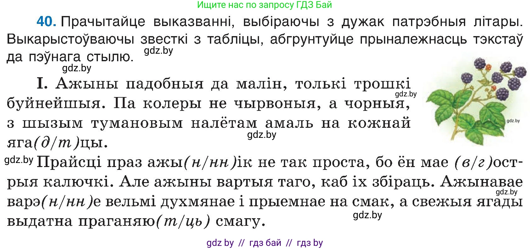 Белорусский язык (Беларуская мова), 6 класс Учебник, авторы: Валочка Ганна Міхайлаўна, Зелянко Вольга Уладзіміраўна, Мартынкевіч Святлана Васільеўна, Якуба Святлана Міхайлаўна, Бажкова Т І, издательство Акадэмія адукацыі, Минск, 2025, страница 27, номер 40, Условие 2025