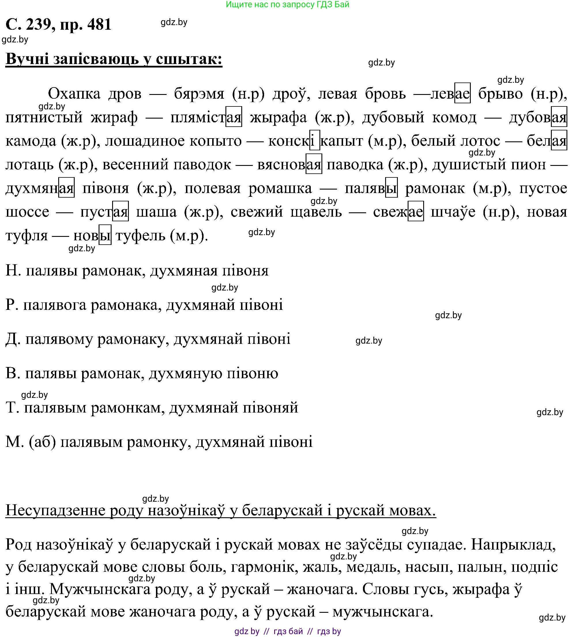 Белорусский язык (Беларуская мова), 6 класс Учебник, авторы: Валочка Ганна Міхайлаўна, Зелянко Вольга Уладзіміраўна, Мартынкевіч Святлана Васільеўна, Якуба Святлана Міхайлаўна, Бажкова Т І, издательство Акадэмія адукацыі, Минск, 2025, страница 239, номер 481, Решение