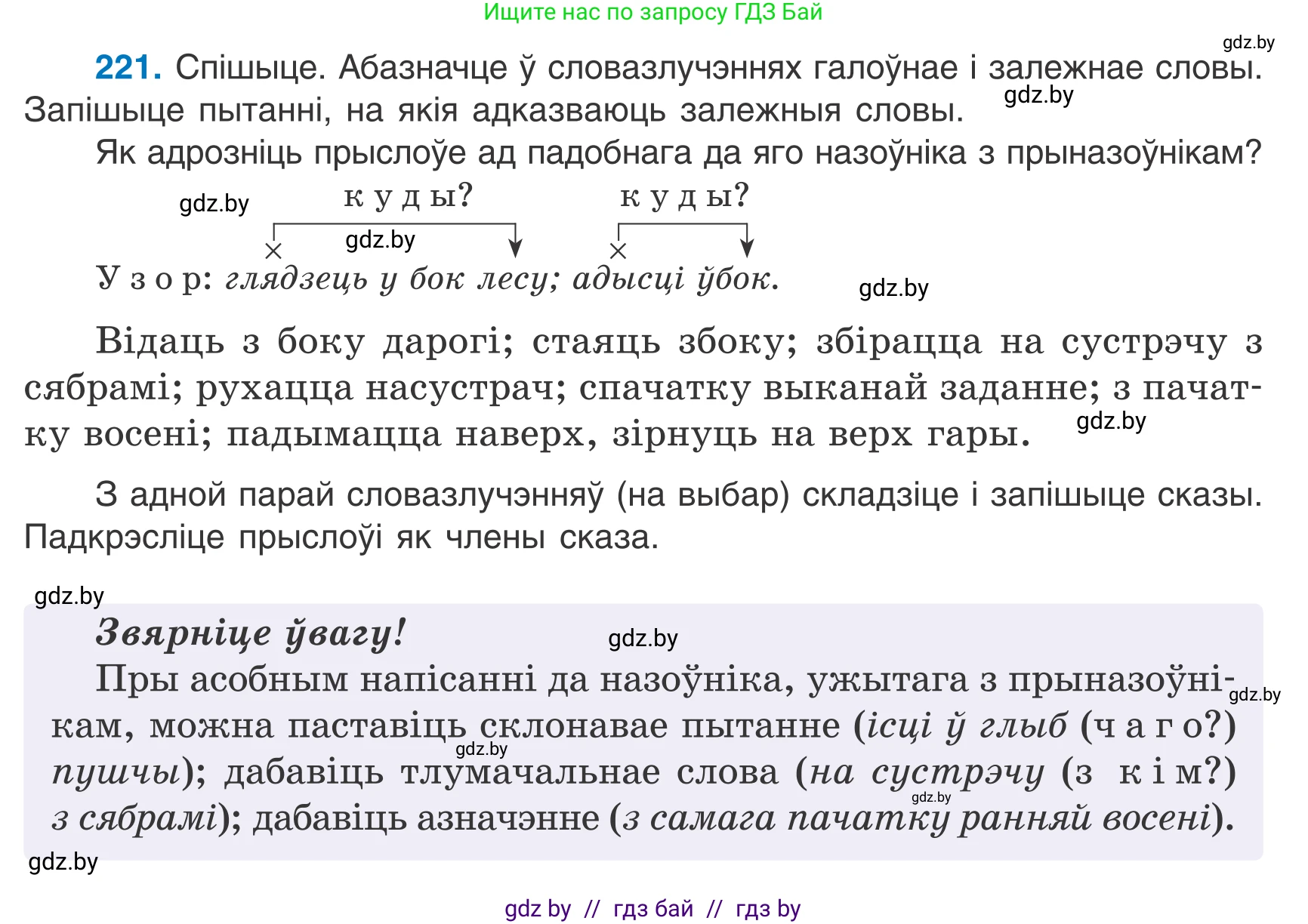 Белорусский язык (Беларуская мова), 7 класс Учебник, авторы: Валочка Ганна Міхайлаўна, Зелянко Вольга Уладзіміраўна, Язерская Святлана Анатольеўна, издательство Нацыянальны інстытут адукацыі, Минск, 2020, страница 125, номер 221, Условие