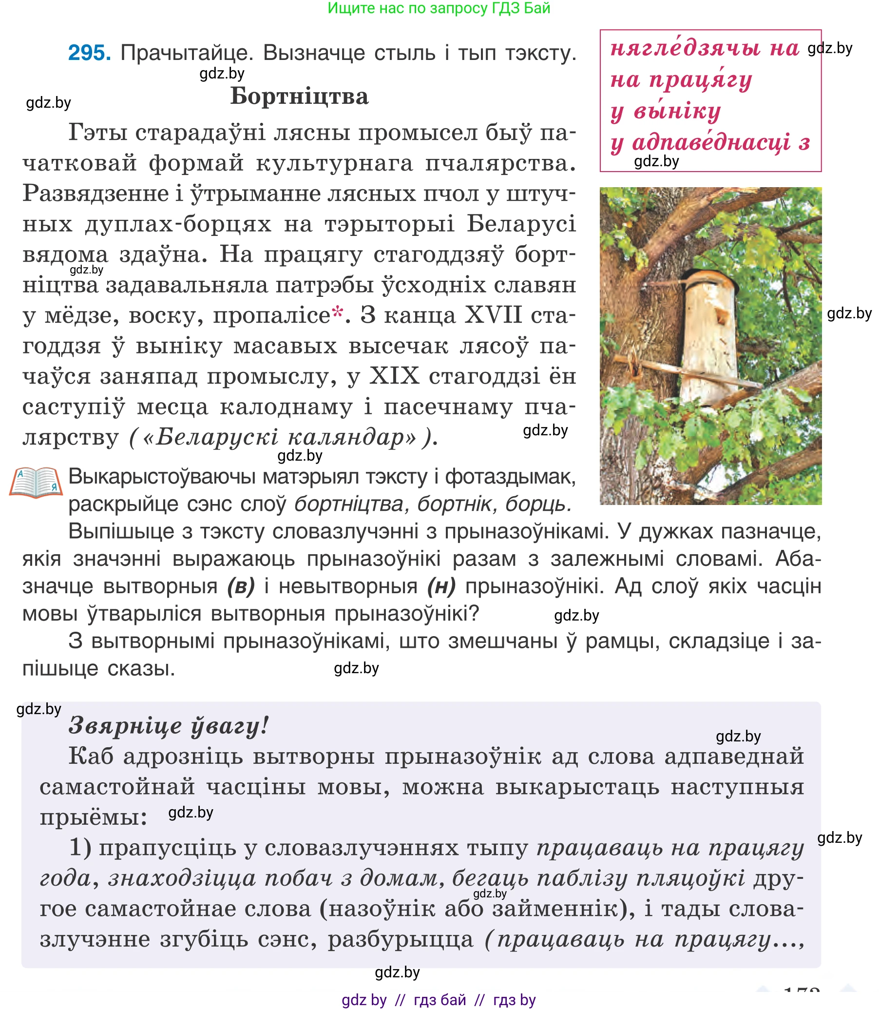 Белорусский язык (Беларуская мова), 7 класс Учебник, авторы: Валочка Ганна Міхайлаўна, Зелянко Вольга Уладзіміраўна, Язерская Святлана Анатольеўна, издательство Нацыянальны інстытут адукацыі, Минск, 2020, страница 173, номер 295, Условие