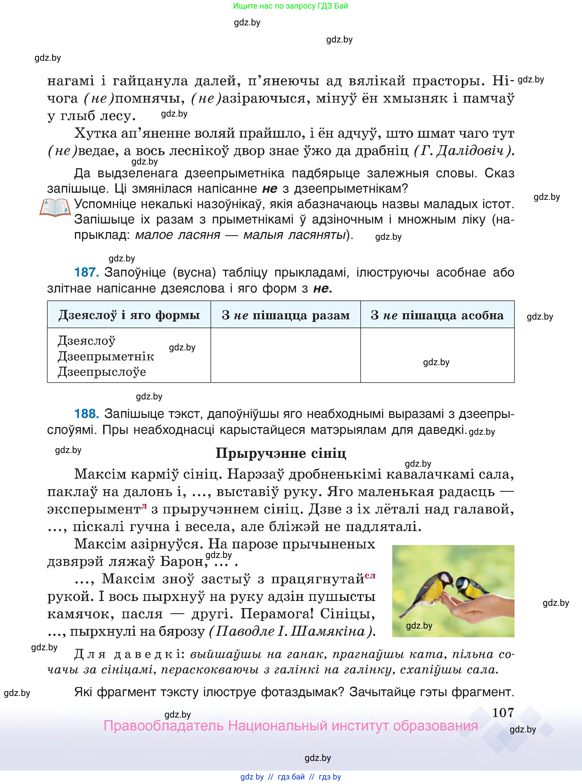 Белорусский язык (Беларуская мова), 7 класс Учебник, авторы: Валочка Ганна Міхайлаўна, Зелянко Вольга Уладзіміраўна, Язерская Святлана Анатольеўна, издательство Нацыянальны інстытут адукацыі, Минск, 2020, страница 107