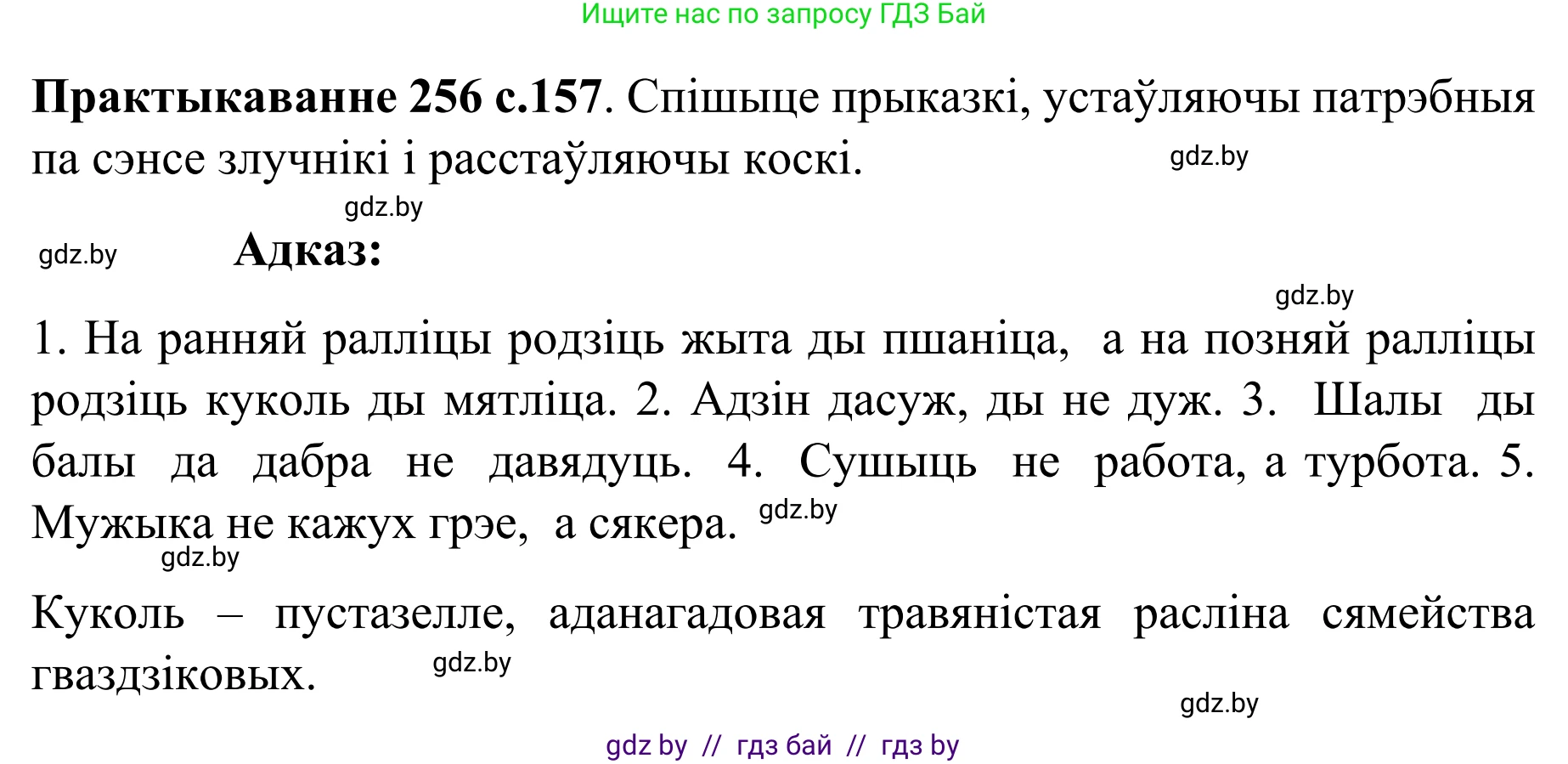 Белорусский язык (Беларуская мова), 8 класс Учебник, авторы: Бадзевіч Зінаіда Іванаўна, Саматыя Ірына Мікалаеўна, издательство Нацыянальны інстытут адукацыі, Минск, 2020, страница 157, номер 256, Решение