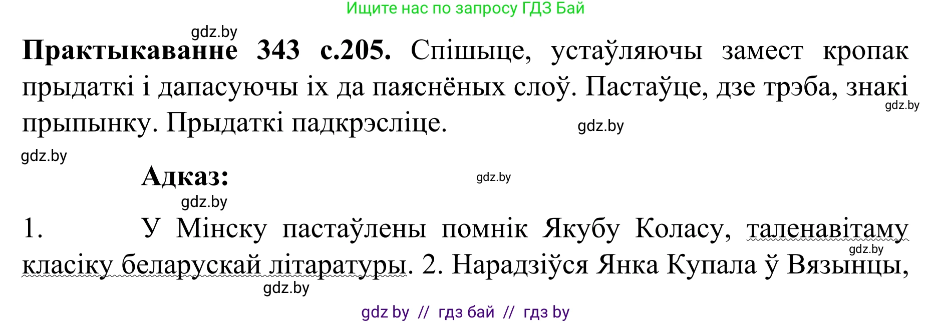 Белорусский язык (Беларуская мова), 8 класс Учебник, авторы: Бадзевіч Зінаіда Іванаўна, Саматыя Ірына Мікалаеўна, издательство Нацыянальны інстытут адукацыі, Минск, 2020, страница 205, номер 343, Решение