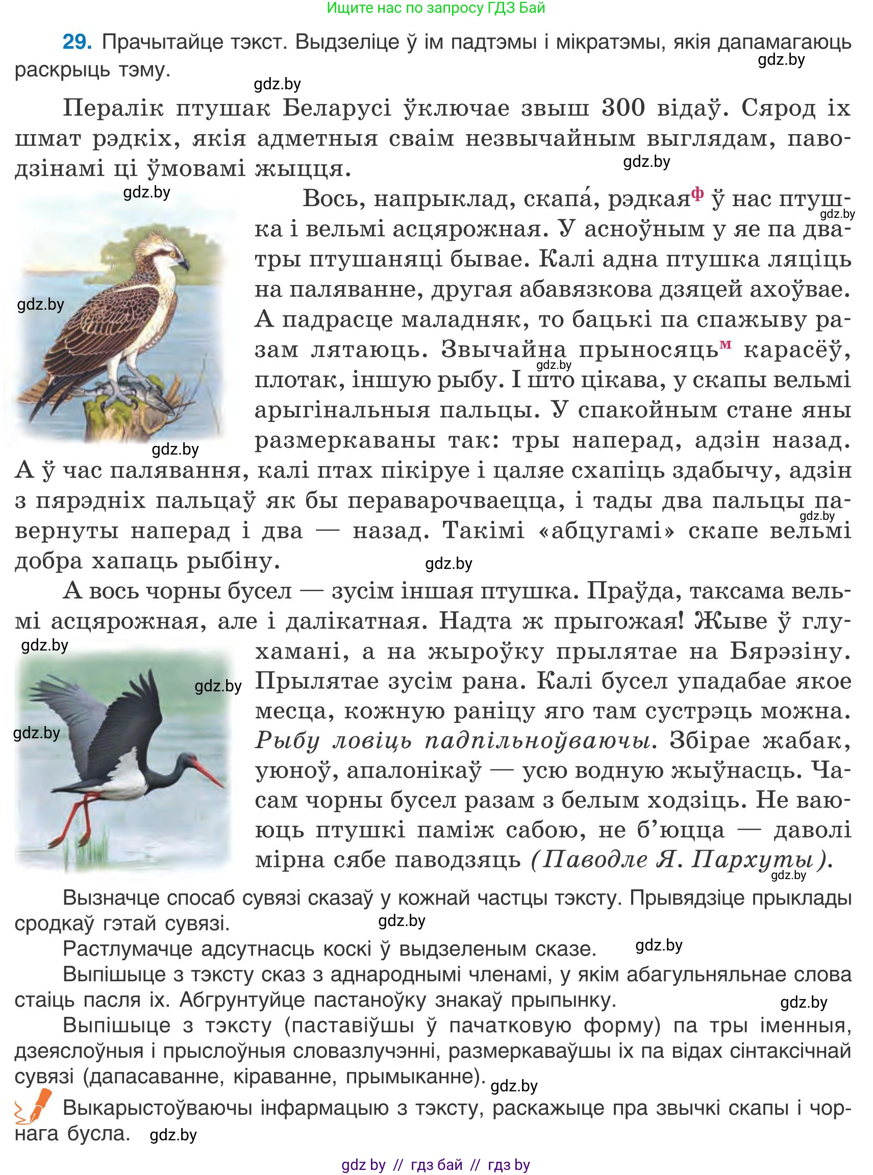 Белорусский язык (Беларуская мова), 9 класс Учебник, авторы: Валочка Ганна Міхайлаўна, Васюковіч Людміла Сяргееўна, Зелянко Вольга Уладзіміраўна, Якуба Святлана Міхайлаўна, Байкова С І, издательство Акадэмія адукацыі, Минск, 2025, сиреневого цвета, страница 24, номер 29, Условие 2025