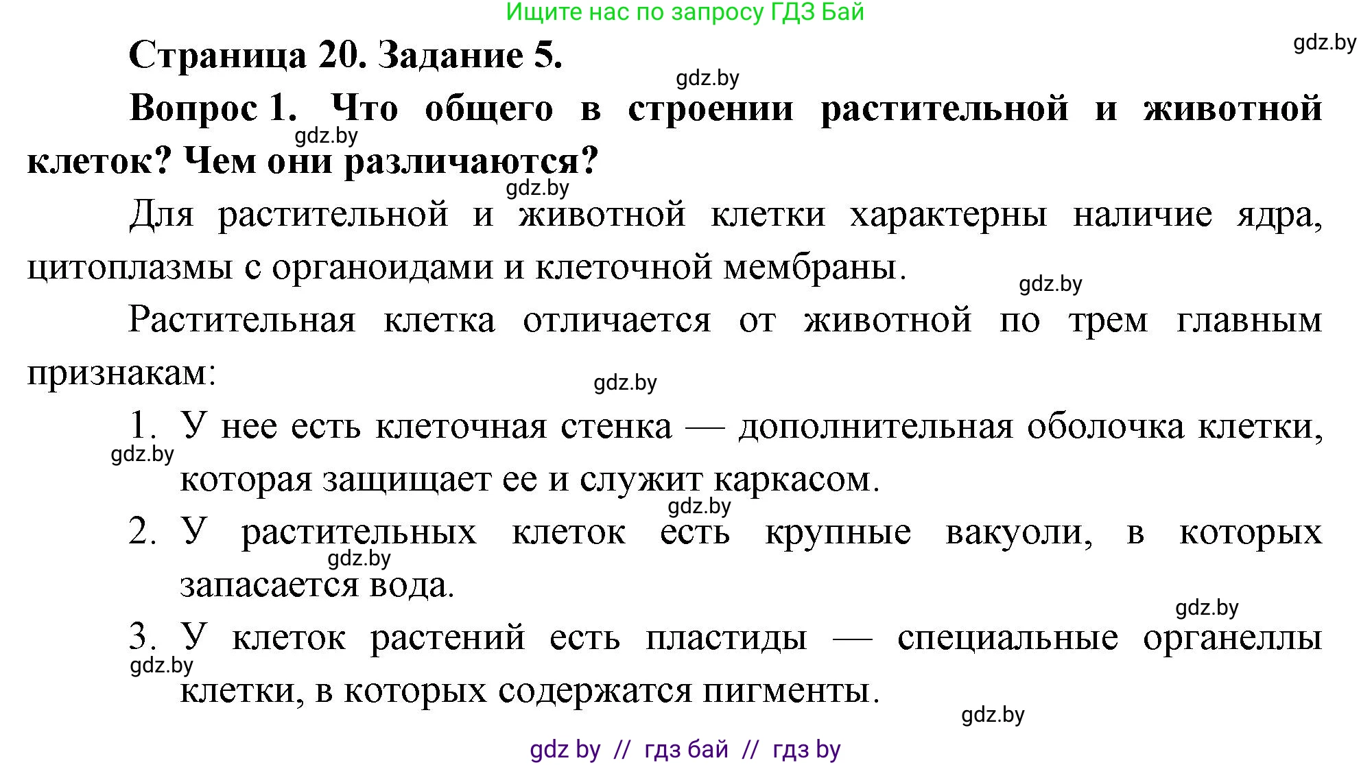 Биология, 6 класс рабочая тетрадь, авторы: Лисов Николай Дмитриевич, Борщевская Елена Валерьевна, издательство Аверсэв, Минск, 2021, жёлтого цвета, страница 20, номер 5, Решение