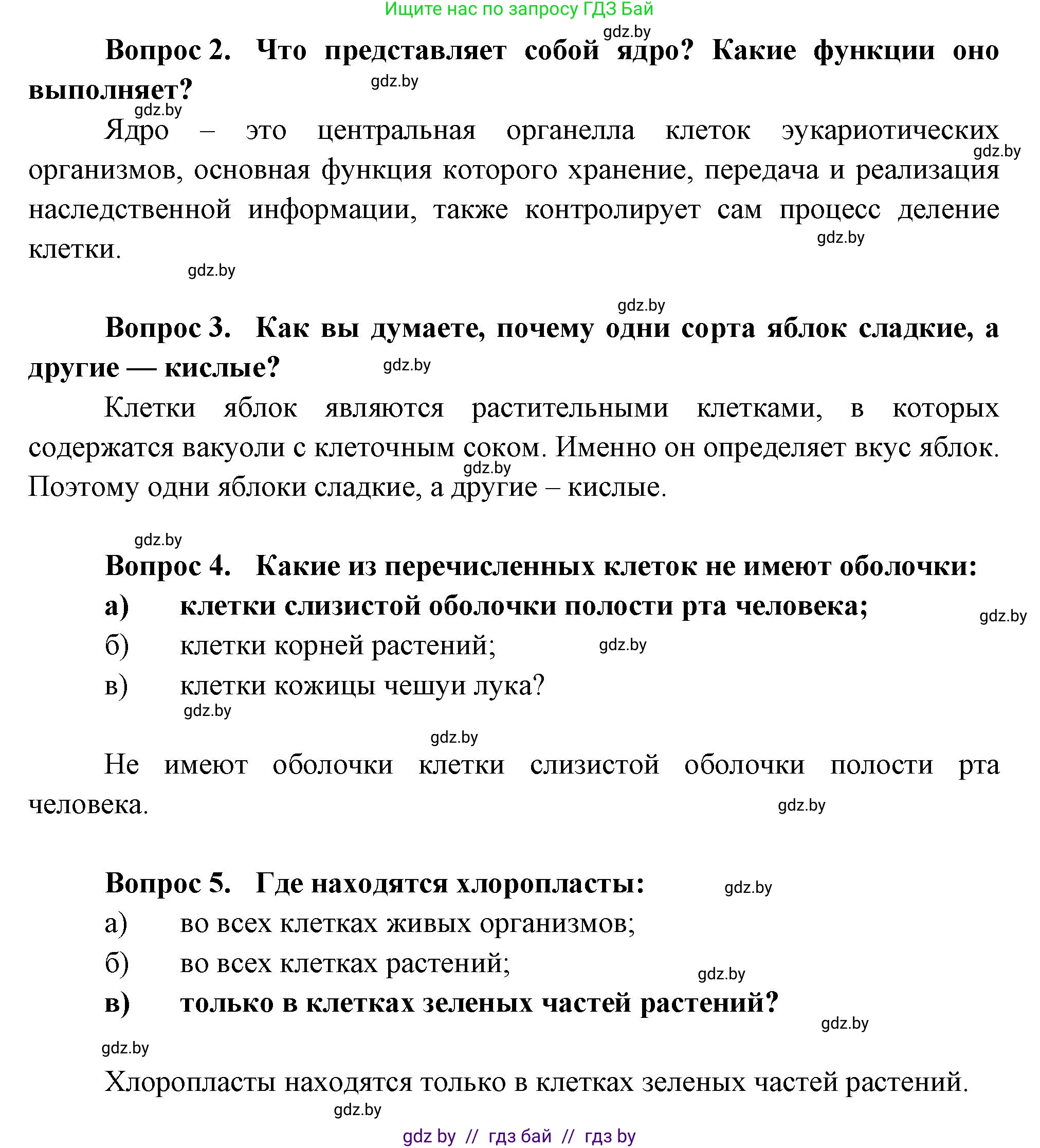 Биология, 6 класс рабочая тетрадь, авторы: Лисов Николай Дмитриевич, Борщевская Елена Валерьевна, издательство Аверсэв, Минск, 2021, жёлтого цвета, страница 20, номер 5, Решение (продолжение 2)