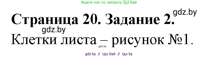 Биология, 6 класс рабочая тетрадь, авторы: Лисов Николай Дмитриевич, Борщевская Елена Валерьевна, издательство Аверсэв, Минск, 2021, жёлтого цвета, страница 20, номер 2, Решение