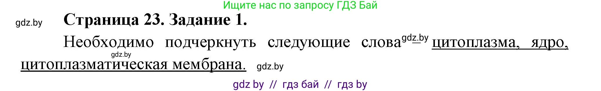 Биология, 6 класс рабочая тетрадь, авторы: Лисов Николай Дмитриевич, Борщевская Елена Валерьевна, издательство Аверсэв, Минск, 2021, жёлтого цвета, страница 23, номер 1, Решение