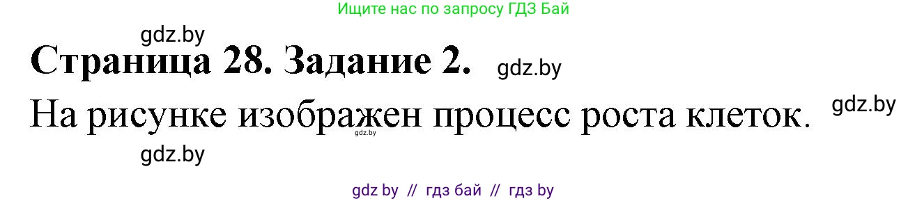 Биология, 6 класс рабочая тетрадь, авторы: Лисов Николай Дмитриевич, Борщевская Елена Валерьевна, издательство Аверсэв, Минск, 2021, жёлтого цвета, страница 28, номер 2, Решение