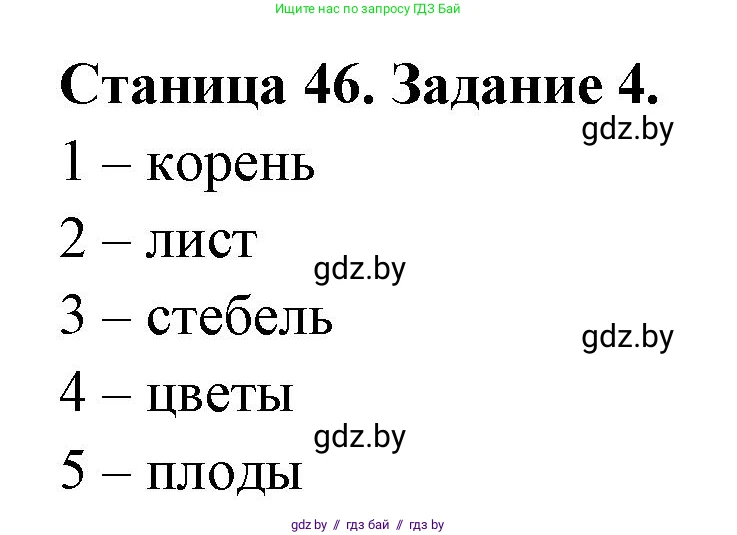 Биология, 6 класс рабочая тетрадь, авторы: Лисов Николай Дмитриевич, Борщевская Елена Валерьевна, издательство Аверсэв, Минск, 2021, жёлтого цвета, страница 46, номер 4, Решение