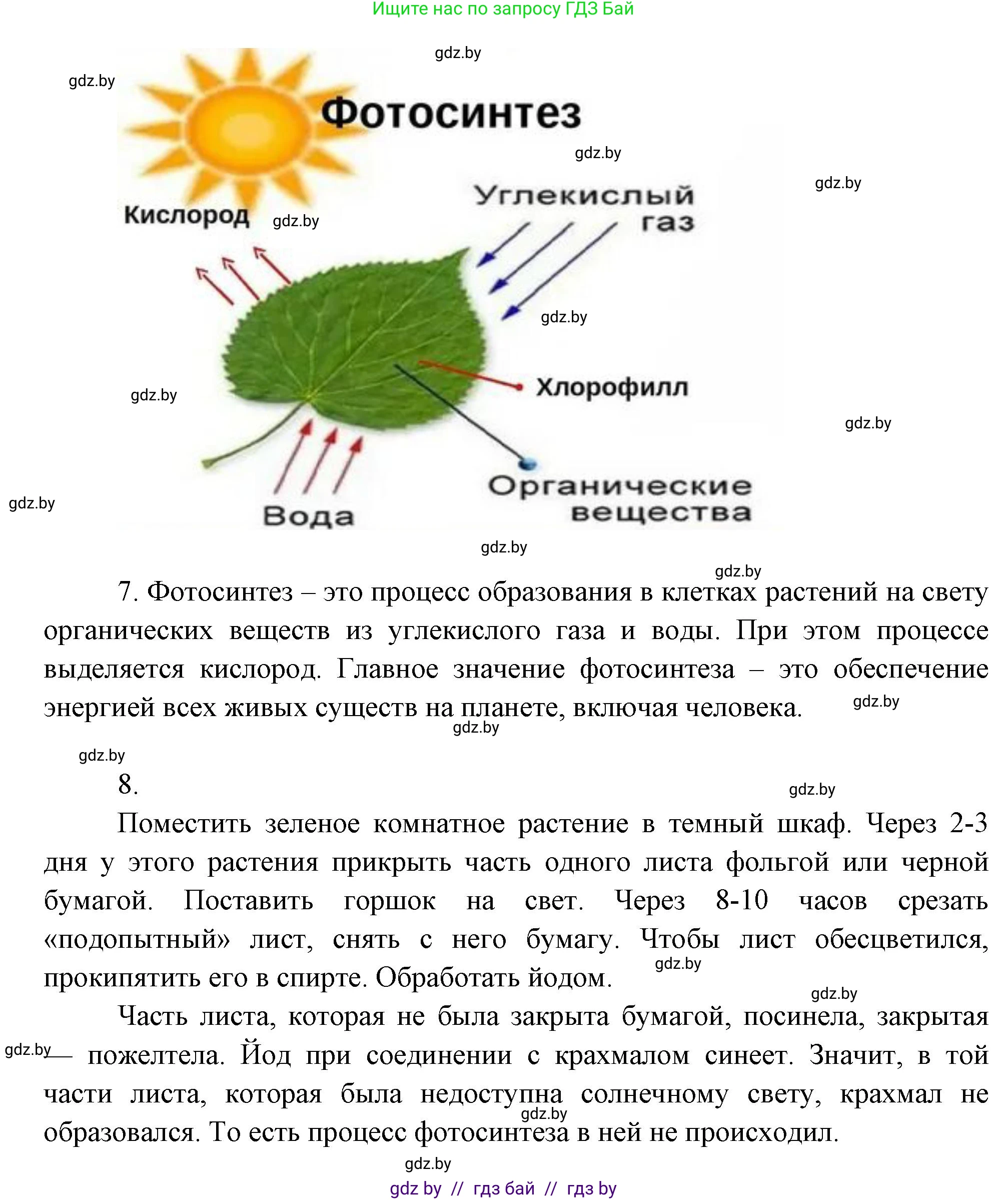 Биология, 6 класс рабочая тетрадь, авторы: Лисов Николай Дмитриевич, Борщевская Елена Валерьевна, издательство Аверсэв, Минск, 2021, жёлтого цвета, страница 50, номер 2, Решение (продолжение 2)
