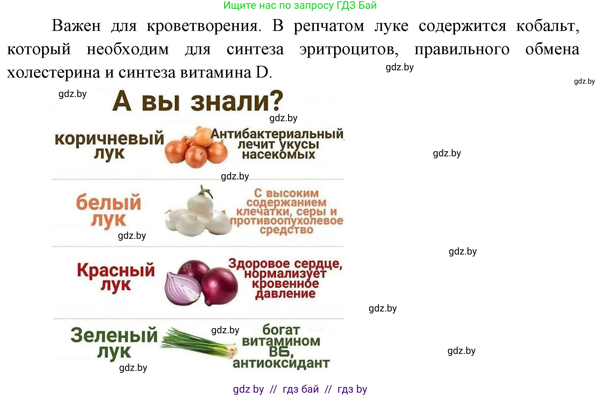 Биология, 6 класс рабочая тетрадь, авторы: Лисов Николай Дмитриевич, Борщевская Елена Валерьевна, издательство Аверсэв, Минск, 2021, жёлтого цвета, страница 55, номер 3, Решение (продолжение 2)