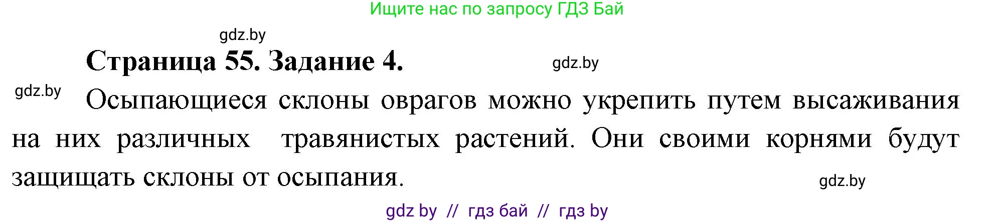 Биология, 6 класс рабочая тетрадь, авторы: Лисов Николай Дмитриевич, Борщевская Елена Валерьевна, издательство Аверсэв, Минск, 2021, жёлтого цвета, страница 55, номер 4, Решение
