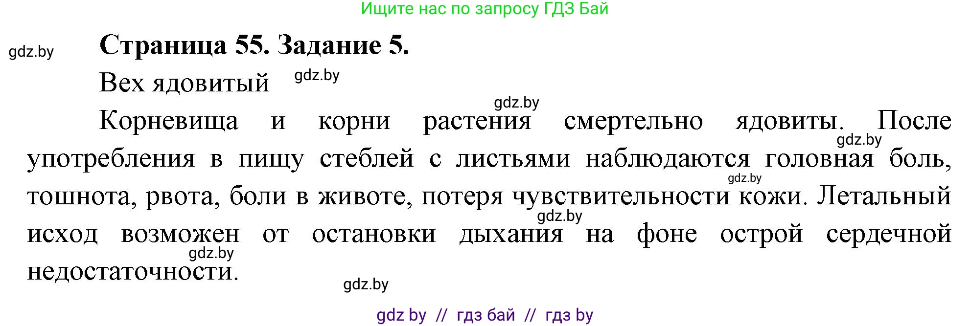 Биология, 6 класс рабочая тетрадь, авторы: Лисов Николай Дмитриевич, Борщевская Елена Валерьевна, издательство Аверсэв, Минск, 2021, жёлтого цвета, страница 55, номер 5, Решение