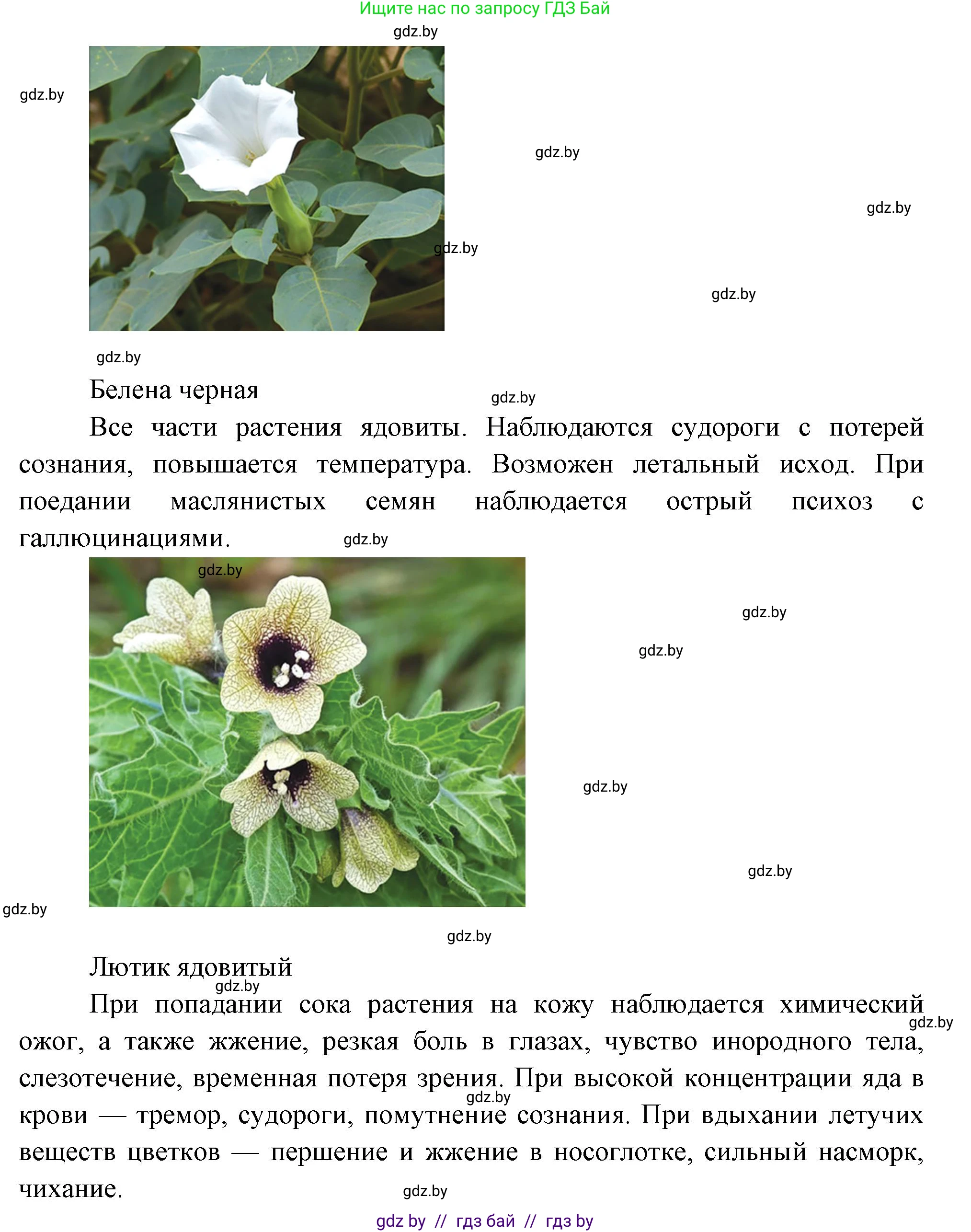 Биология, 6 класс рабочая тетрадь, авторы: Лисов Николай Дмитриевич, Борщевская Елена Валерьевна, издательство Аверсэв, Минск, 2021, жёлтого цвета, страница 55, номер 5, Решение (продолжение 3)