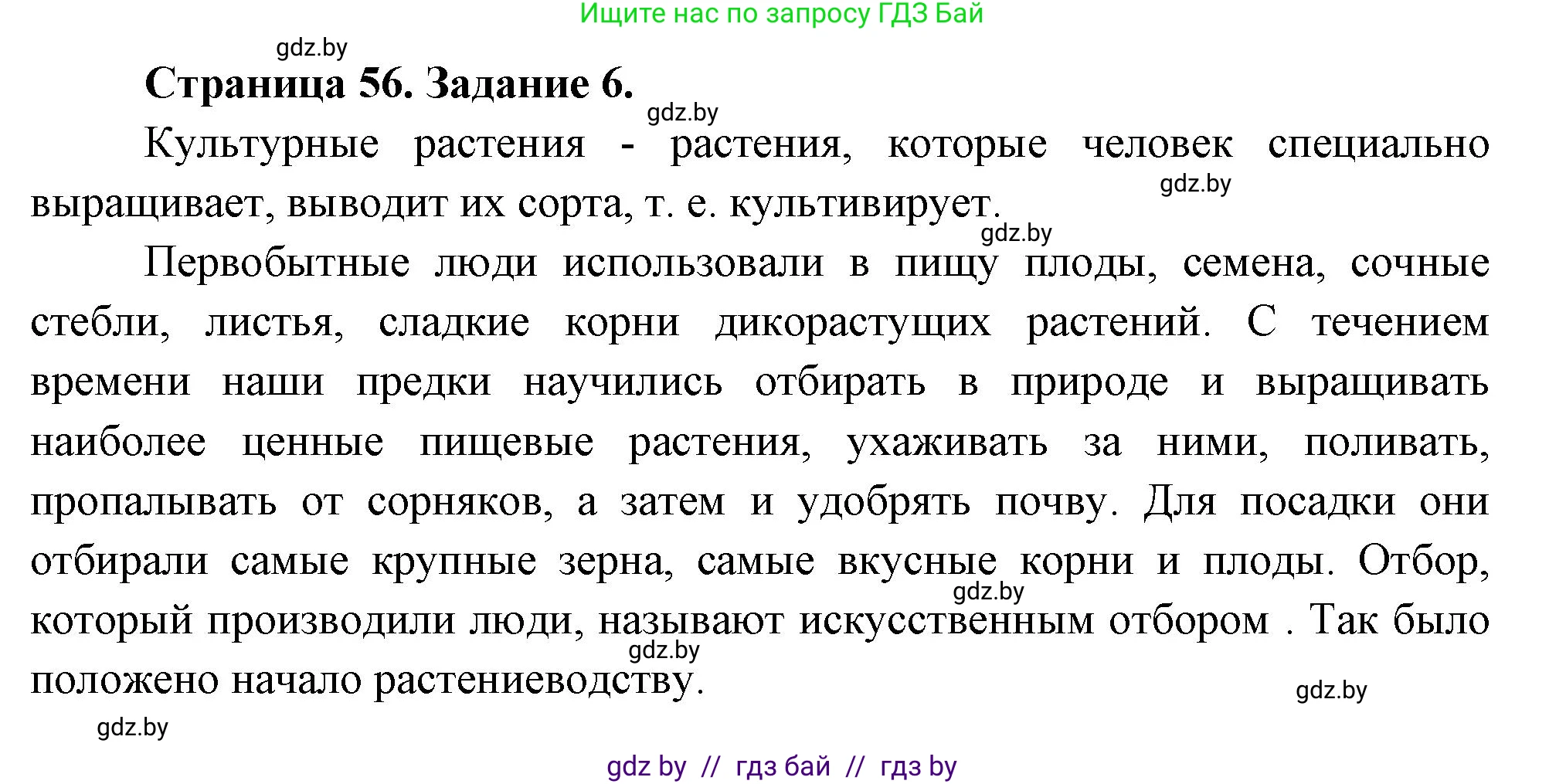 Биология, 6 класс рабочая тетрадь, авторы: Лисов Николай Дмитриевич, Борщевская Елена Валерьевна, издательство Аверсэв, Минск, 2021, жёлтого цвета, страница 56, номер 6, Решение