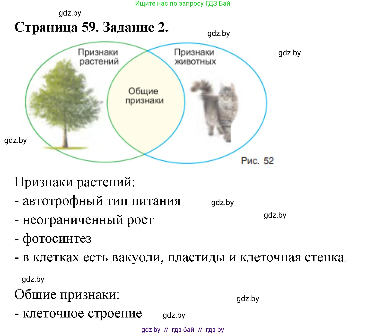 Биология, 6 класс рабочая тетрадь, авторы: Лисов Николай Дмитриевич, Борщевская Елена Валерьевна, издательство Аверсэв, Минск, 2021, жёлтого цвета, страница 59, номер 2, Решение
