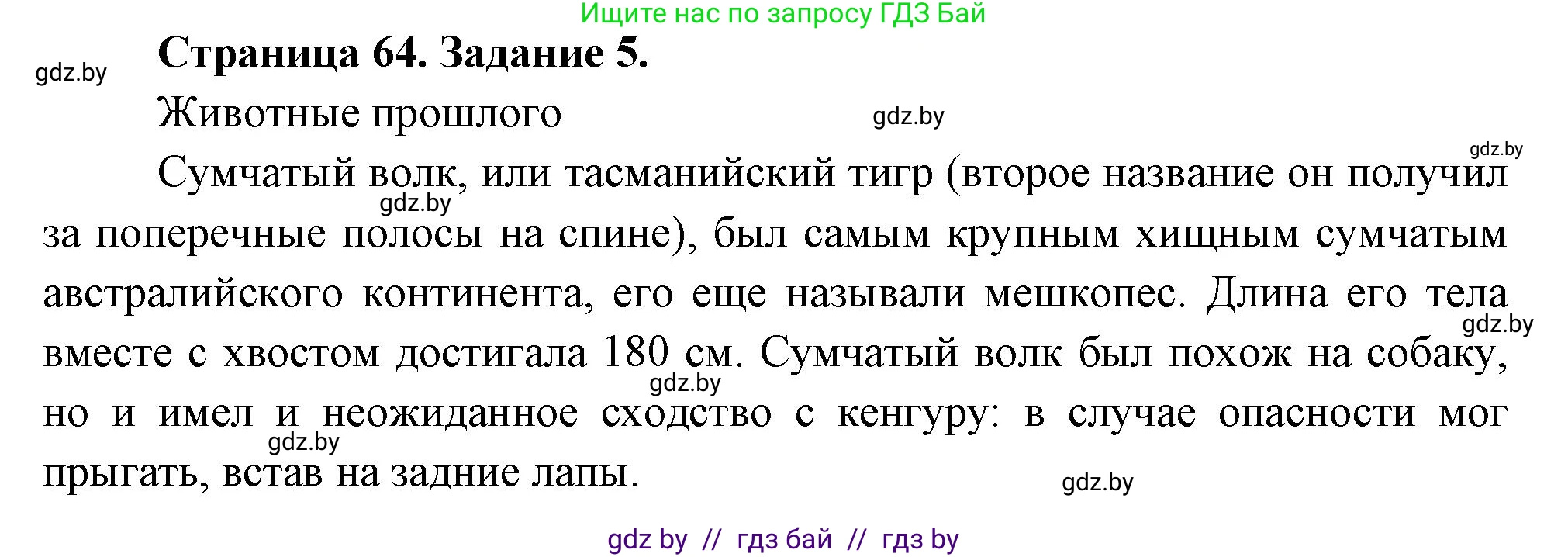 Биология, 6 класс рабочая тетрадь, авторы: Лисов Николай Дмитриевич, Борщевская Елена Валерьевна, издательство Аверсэв, Минск, 2021, жёлтого цвета, страница 64, номер 5, Решение