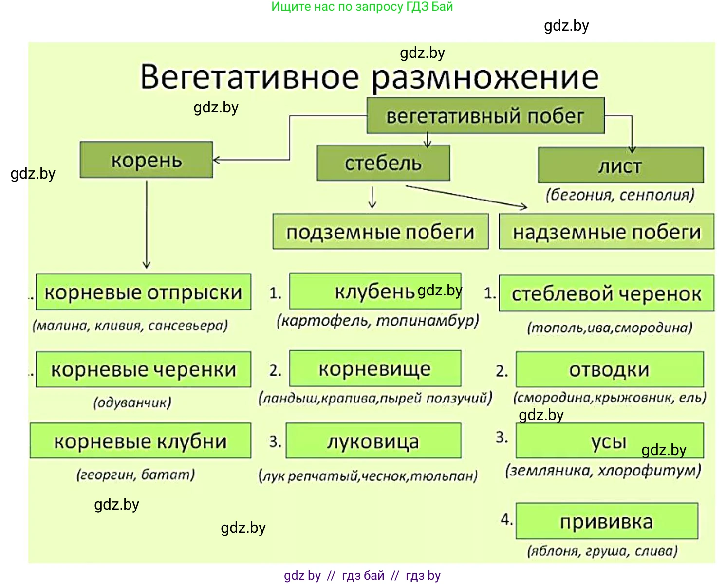 Биология, 6 класс рабочая тетрадь, авторы: Лисов Николай Дмитриевич, Борщевская Елена Валерьевна, издательство Аверсэв, Минск, 2021, жёлтого цвета, страница 72, номер 7, Решение
