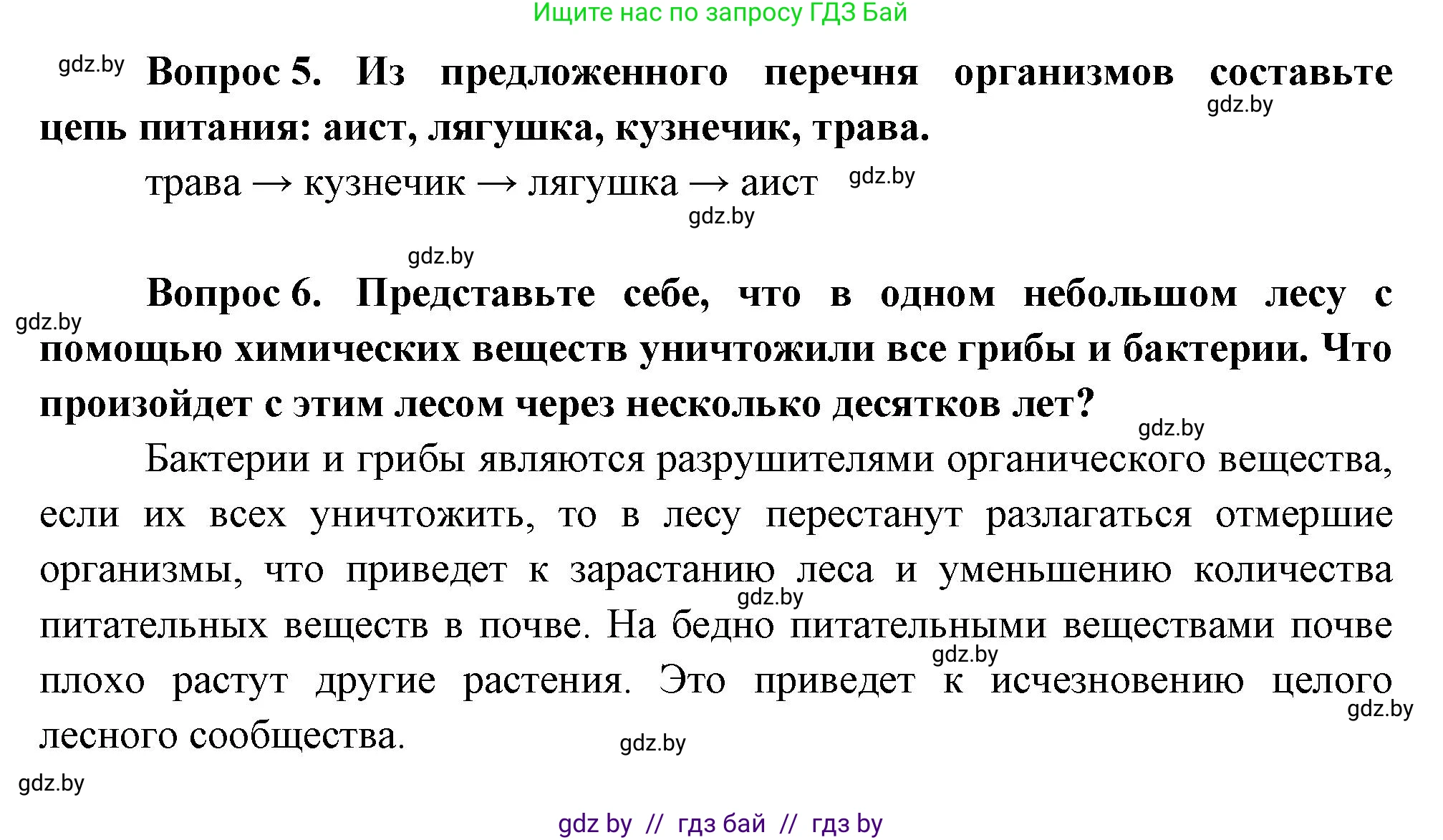 Биология, 6 класс рабочая тетрадь, авторы: Лисов Николай Дмитриевич, Борщевская Елена Валерьевна, издательство Аверсэв, Минск, 2021, жёлтого цвета, страница 81, номер 10, Решение (продолжение 2)