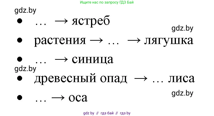 Биология, 6 класс рабочая тетрадь, авторы: Лисов Николай Дмитриевич, Борщевская Елена Валерьевна, издательство Аверсэв, Минск, 2021, жёлтого цвета, страница 82, номер 4, Решение
