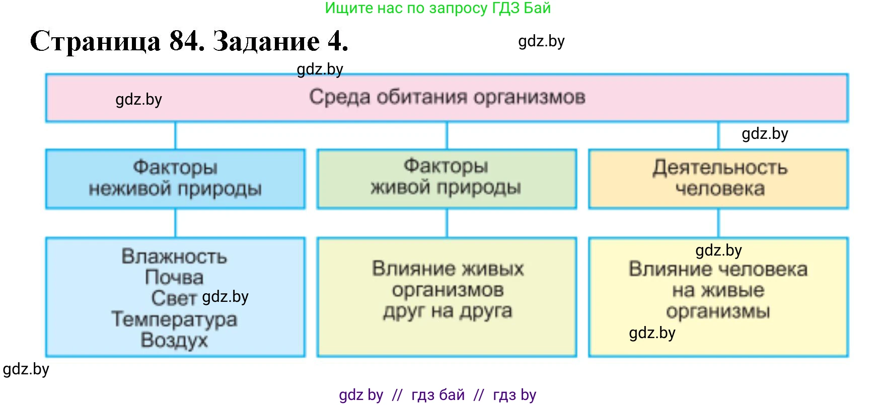 Биология, 6 класс рабочая тетрадь, авторы: Лисов Николай Дмитриевич, Борщевская Елена Валерьевна, издательство Аверсэв, Минск, 2021, жёлтого цвета, страница 84, номер 4, Решение