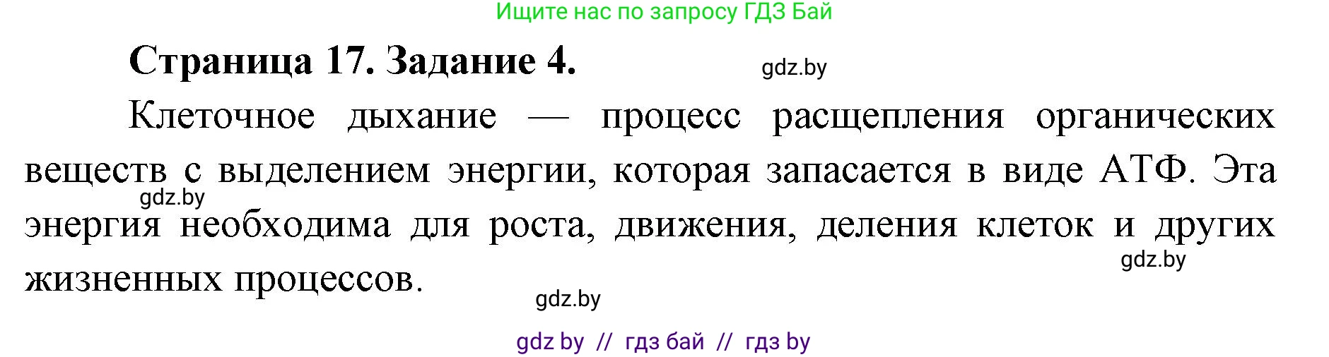 Биология, 6 класс Сборник контрольных и самостоятельных работ, авторы: Городович Наталья Ивановна, Капцевич Марина Викторовна, Сеген Елена Адамовна, издательство Аверсэв, Минск, 2021, страница 17, номер 4, Решение