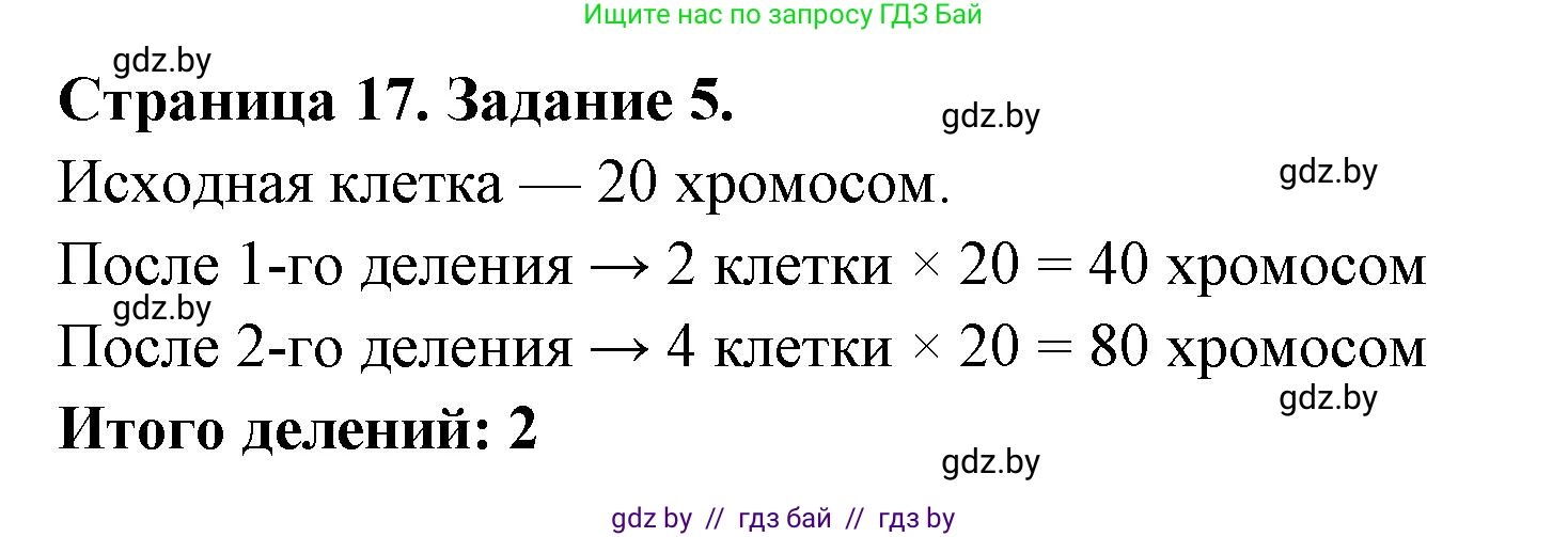 Биология, 6 класс Сборник контрольных и самостоятельных работ, авторы: Городович Наталья Ивановна, Капцевич Марина Викторовна, Сеген Елена Адамовна, издательство Аверсэв, Минск, 2021, страница 17, номер 5, Решение