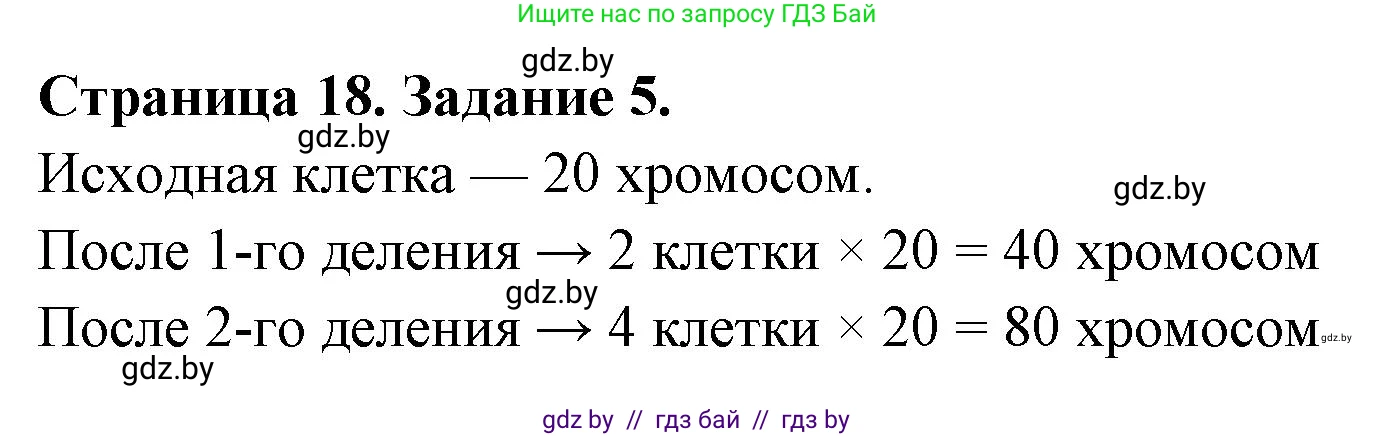 Биология, 6 класс Сборник контрольных и самостоятельных работ, авторы: Городович Наталья Ивановна, Капцевич Марина Викторовна, Сеген Елена Адамовна, издательство Аверсэв, Минск, 2021, страница 18, номер 5, Решение