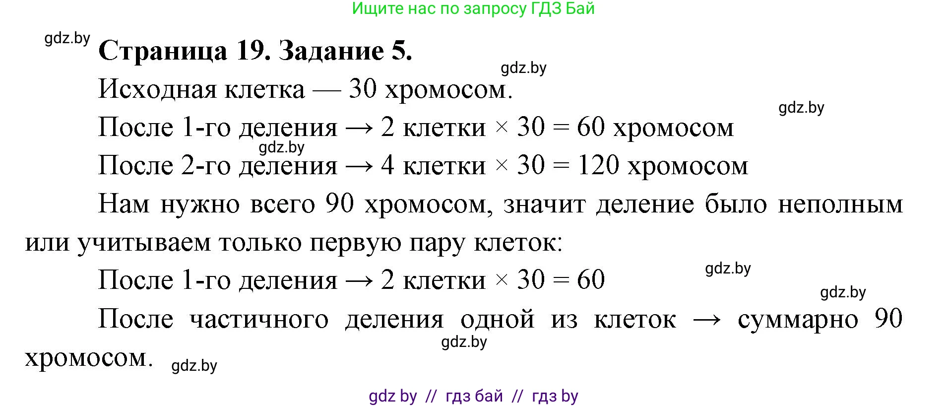 Биология, 6 класс Сборник контрольных и самостоятельных работ, авторы: Городович Наталья Ивановна, Капцевич Марина Викторовна, Сеген Елена Адамовна, издательство Аверсэв, Минск, 2021, страница 19, номер 5, Решение