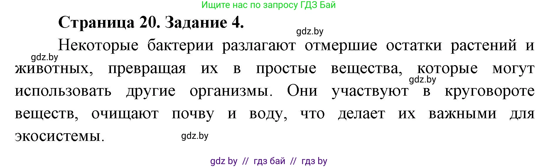 Биология, 6 класс Сборник контрольных и самостоятельных работ, авторы: Городович Наталья Ивановна, Капцевич Марина Викторовна, Сеген Елена Адамовна, издательство Аверсэв, Минск, 2021, страница 20, номер 4, Решение