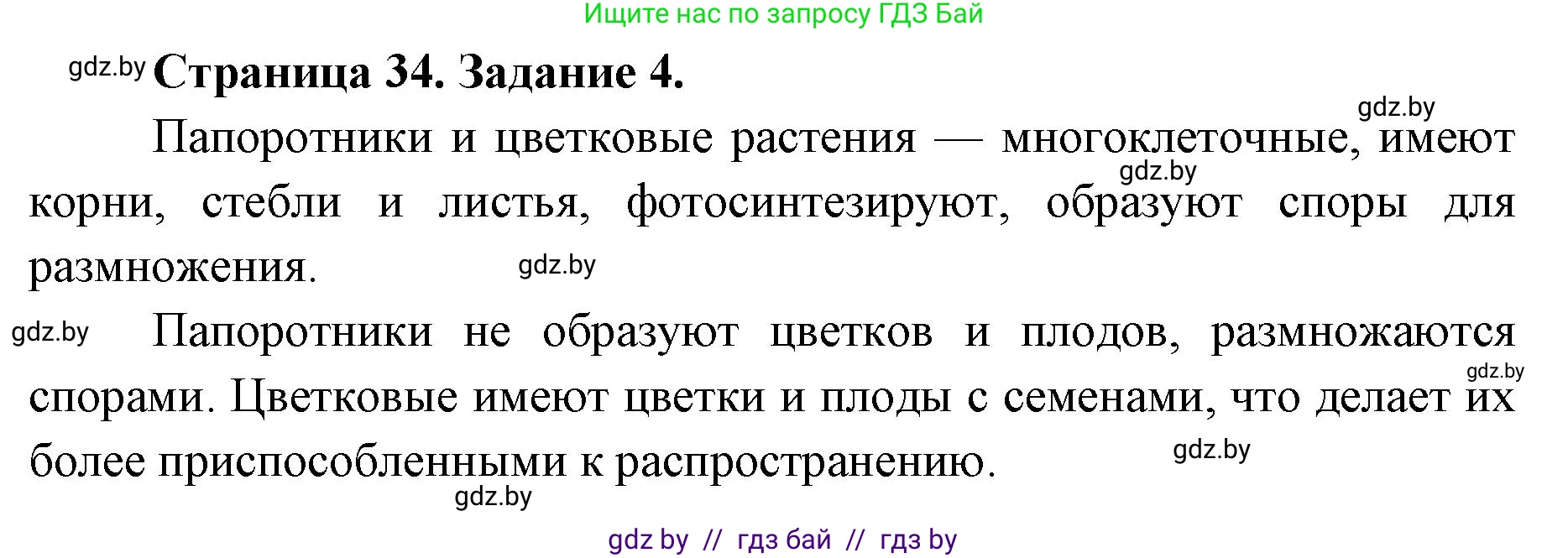 Биология, 6 класс Сборник контрольных и самостоятельных работ, авторы: Городович Наталья Ивановна, Капцевич Марина Викторовна, Сеген Елена Адамовна, издательство Аверсэв, Минск, 2021, страница 34, номер 4, Решение