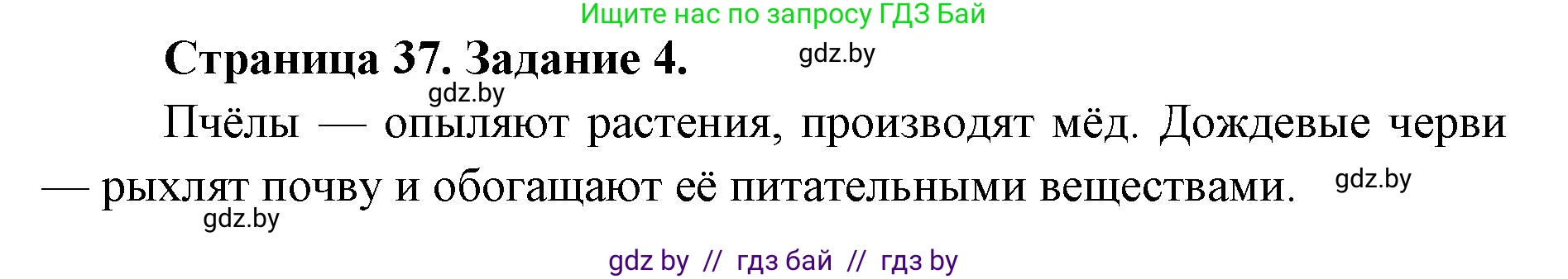 Биология, 6 класс Сборник контрольных и самостоятельных работ, авторы: Городович Наталья Ивановна, Капцевич Марина Викторовна, Сеген Елена Адамовна, издательство Аверсэв, Минск, 2021, страница 37, номер 4, Решение