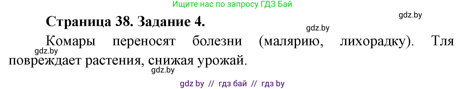 Биология, 6 класс Сборник контрольных и самостоятельных работ, авторы: Городович Наталья Ивановна, Капцевич Марина Викторовна, Сеген Елена Адамовна, издательство Аверсэв, Минск, 2021, страница 38, номер 4, Решение