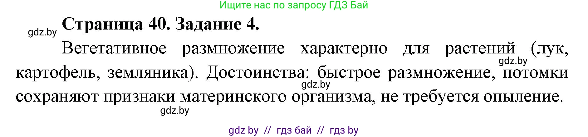 Биология, 6 класс Сборник контрольных и самостоятельных работ, авторы: Городович Наталья Ивановна, Капцевич Марина Викторовна, Сеген Елена Адамовна, издательство Аверсэв, Минск, 2021, страница 40, номер 4, Решение
