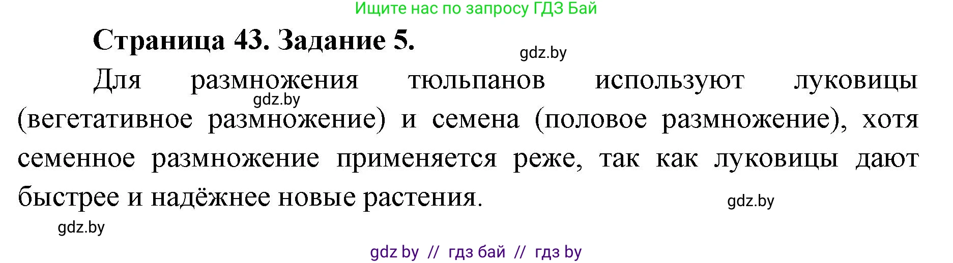 Биология, 6 класс Сборник контрольных и самостоятельных работ, авторы: Городович Наталья Ивановна, Капцевич Марина Викторовна, Сеген Елена Адамовна, издательство Аверсэв, Минск, 2021, страница 43, номер 5, Решение