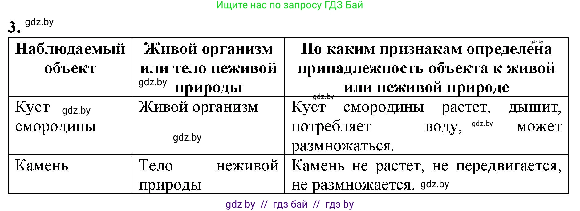 Биология, 6 класс Тетрадь для лабораторных и практических работ, авторы: Лисов Николай Дмитриевич, Борщевская Елена Валерьевна, издательство Аверсэв, Минск, 2023, салатового цвета, страница 13, номер 3, Решение
