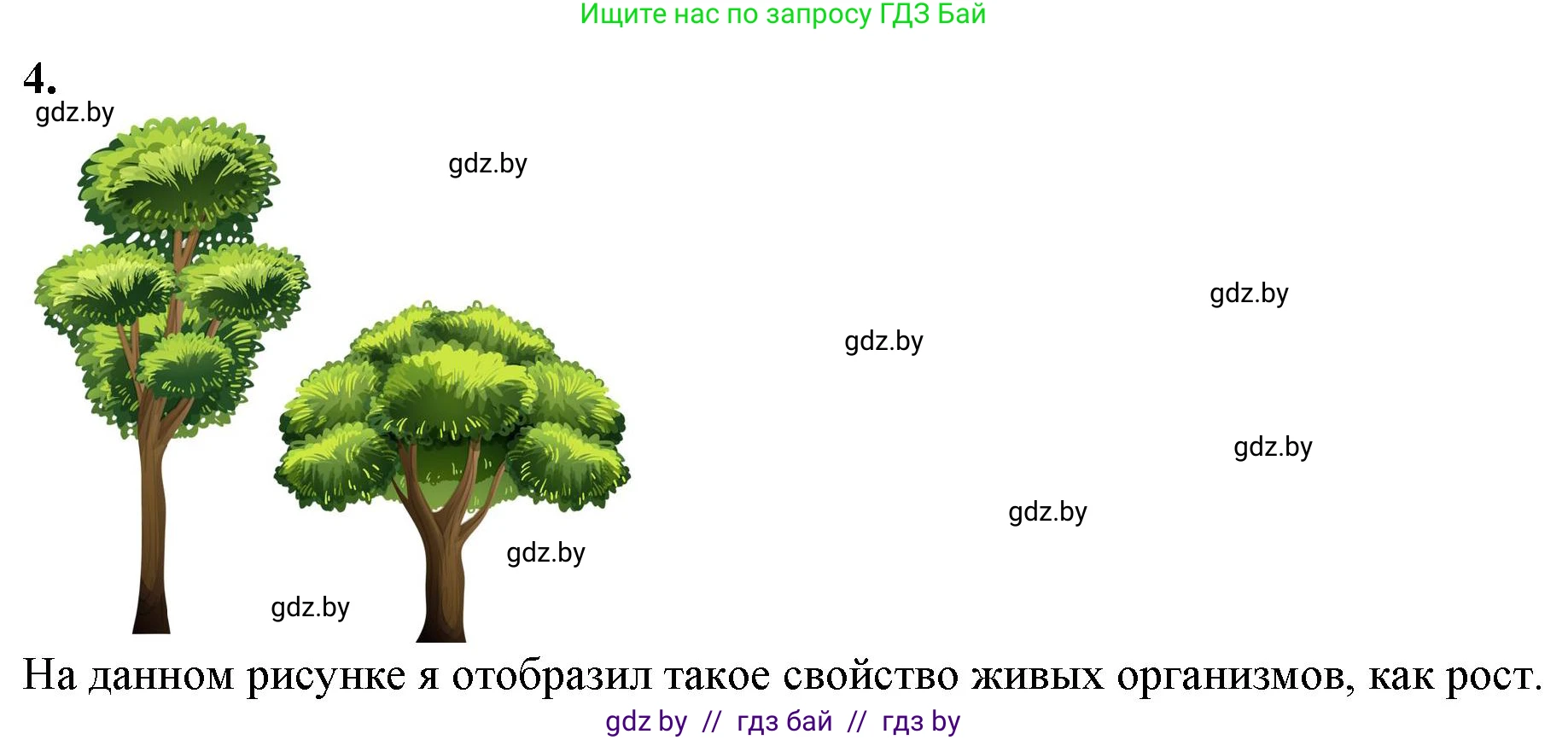 Биология, 6 класс Тетрадь для лабораторных и практических работ, авторы: Лисов Николай Дмитриевич, Борщевская Елена Валерьевна, издательство Аверсэв, Минск, 2023, салатового цвета, страница 14, номер 4, Решение