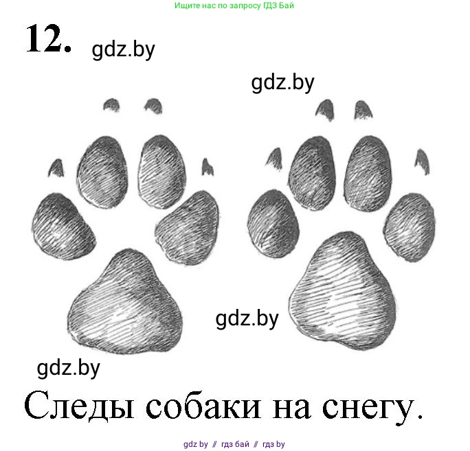 Биология, 6 класс Тетрадь для лабораторных и практических работ, авторы: Лисов Николай Дмитриевич, Борщевская Елена Валерьевна, издательство Аверсэв, Минск, 2023, салатового цвета, страница 31, номер 12, Решение