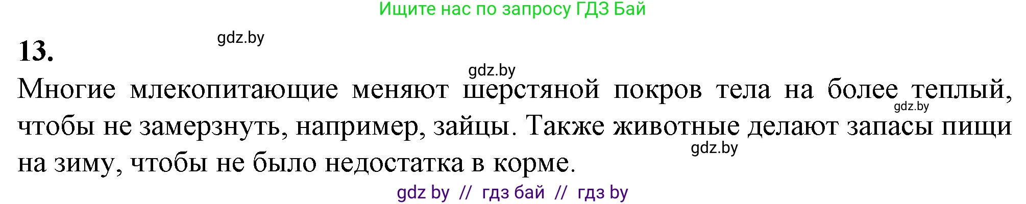 Биология, 6 класс Тетрадь для лабораторных и практических работ, авторы: Лисов Николай Дмитриевич, Борщевская Елена Валерьевна, издательство Аверсэв, Минск, 2023, салатового цвета, страница 31, номер 13, Решение