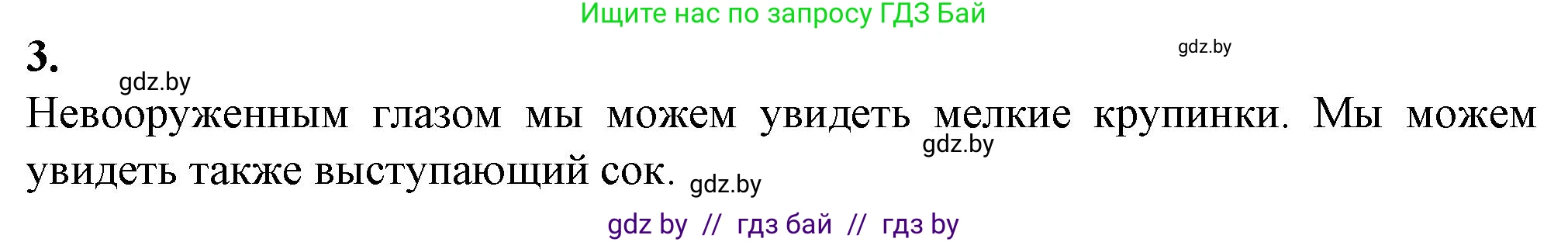 Биология, 6 класс Тетрадь для лабораторных и практических работ, авторы: Лисов Николай Дмитриевич, Борщевская Елена Валерьевна, издательство Аверсэв, Минск, 2023, салатового цвета, страница 5, номер 3, Решение