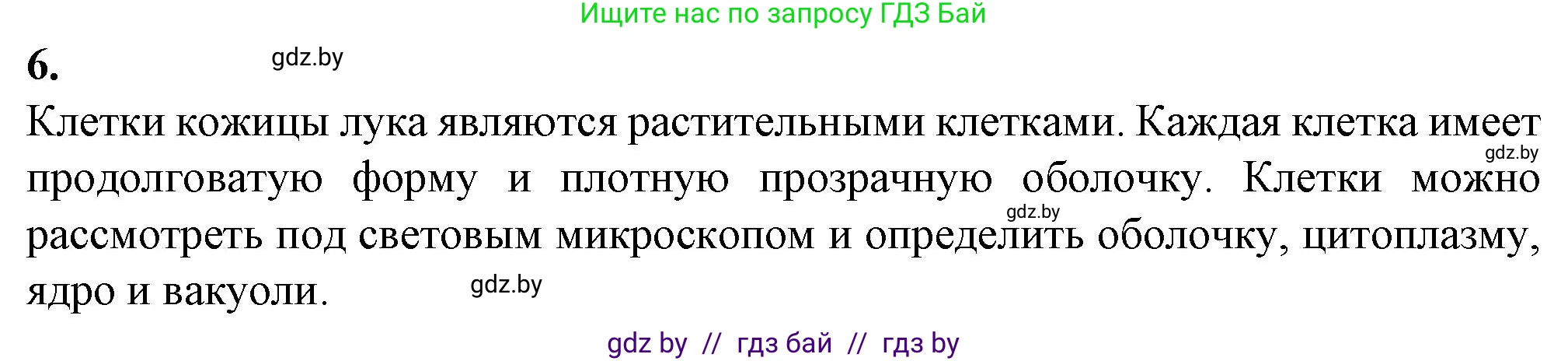 Биология, 6 класс Тетрадь для лабораторных и практических работ, авторы: Лисов Николай Дмитриевич, Борщевская Елена Валерьевна, издательство Аверсэв, Минск, 2023, салатового цвета, страница 21, номер 6, Решение