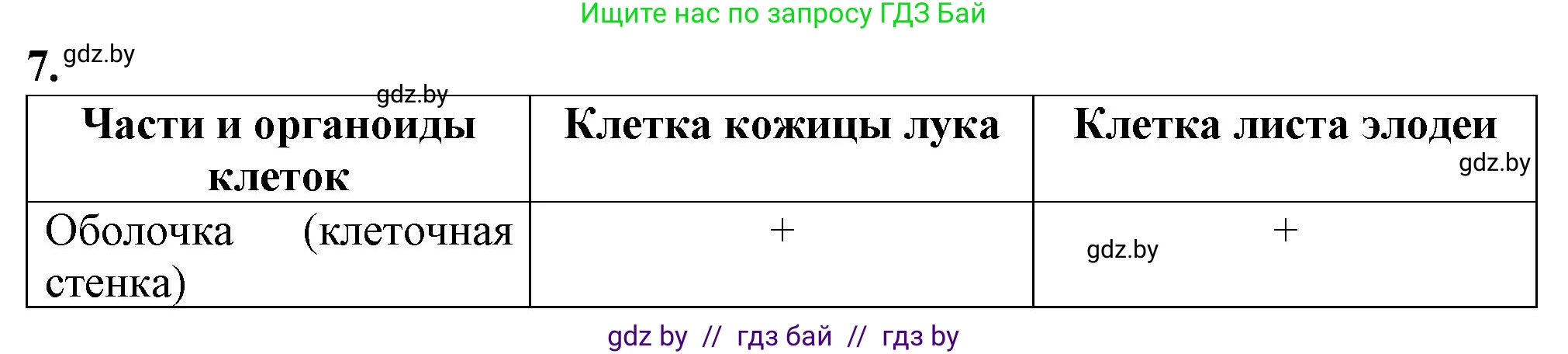 Биология, 6 класс Тетрадь для лабораторных и практических работ, авторы: Лисов Николай Дмитриевич, Борщевская Елена Валерьевна, издательство Аверсэв, Минск, 2023, салатового цвета, страница 23, номер 7, Решение
